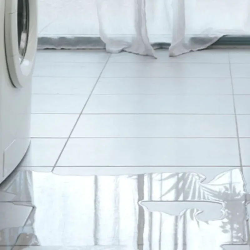 Appliance Leak Cleanup in South Apopka, FL